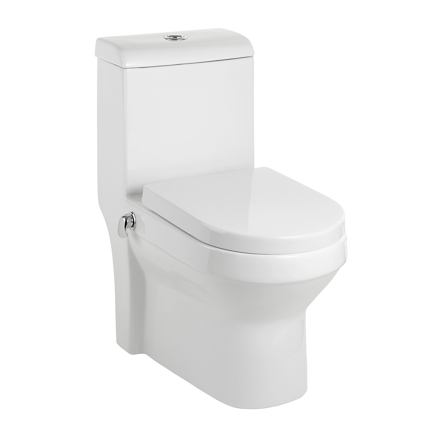Turkish Style Toilet with Integral Bidet Spray (WuduMate)